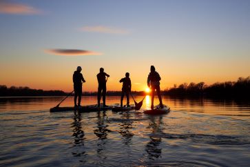 Group of four stand up paddle boarders at dusk with beautiful sunset in the background.