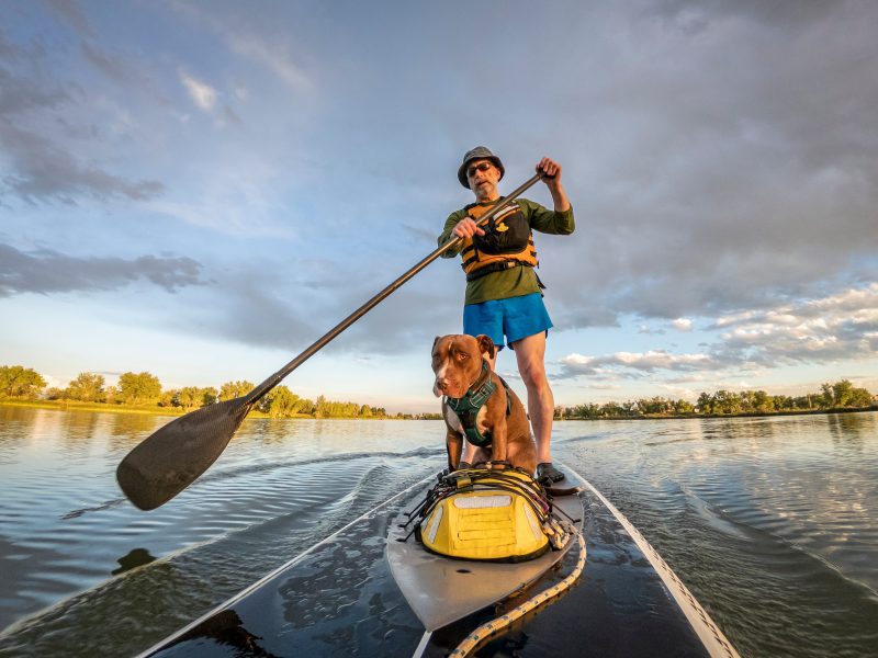 Man on paddle board with his dog both wearing their life jackets.